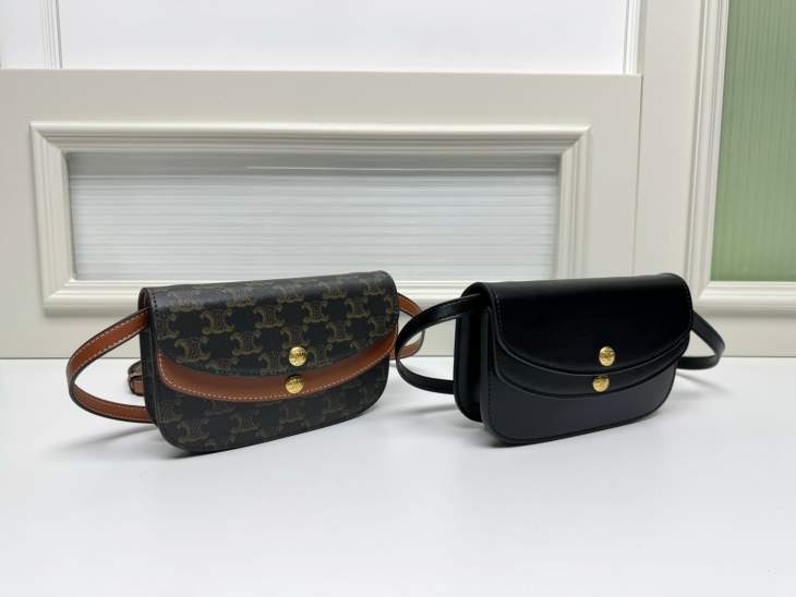 Picture of Celine Handbags _SKUfw225667100fw